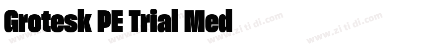 Grotesk PE Trial Med字体转换